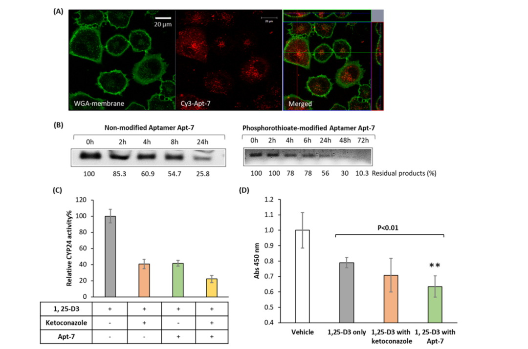 凯时|AG(AsiaGaming)优质运营商