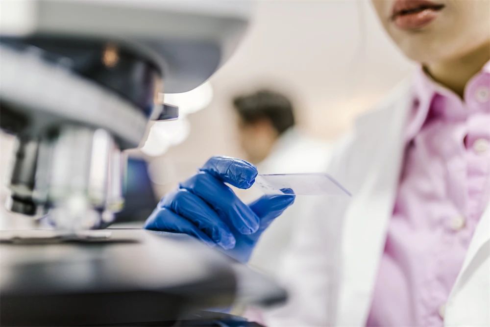 凯时|AG(AsiaGaming)优质运营商