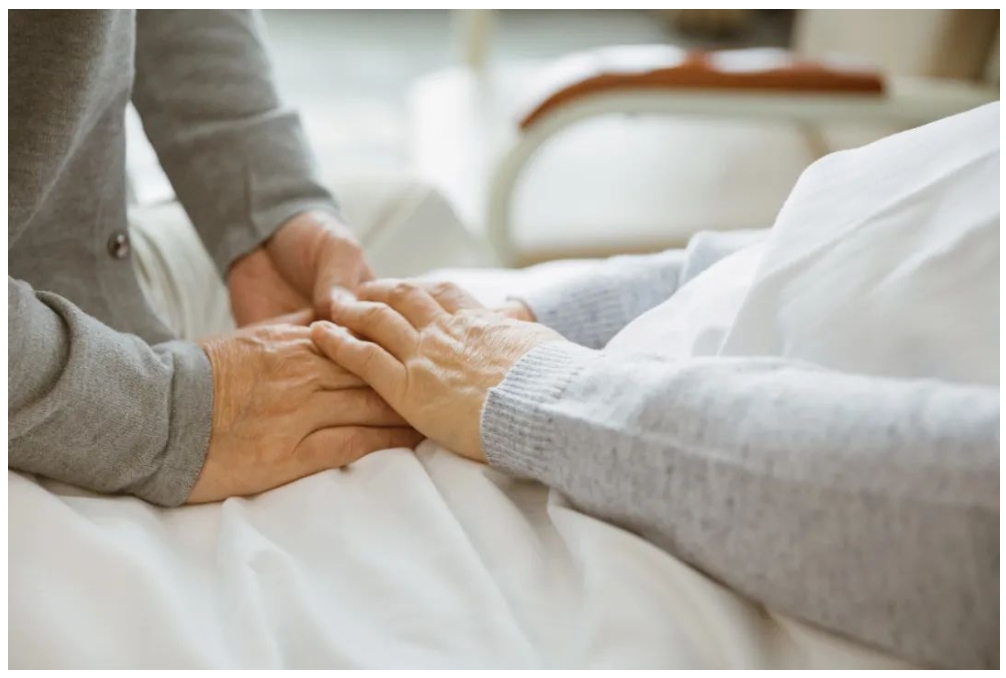 凯时|AG(AsiaGaming)优质运营商